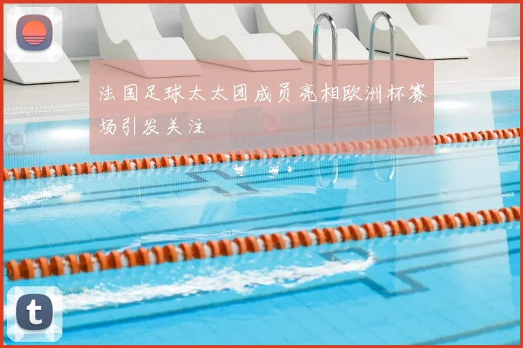 法国足球太太团成员亮相欧洲杯赛场引发关注