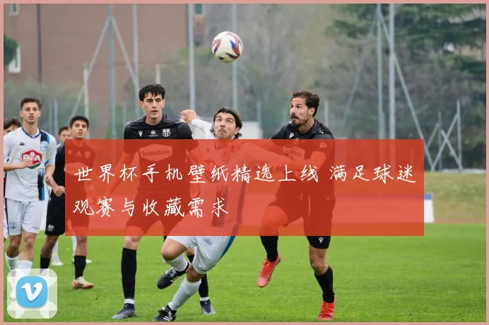 世界杯手机壁纸精选上线 满足球迷观赛与收藏需求