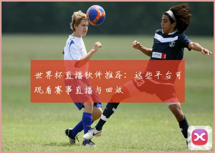 世界杯直播软件推荐：这些平台可观看赛事直播与回放