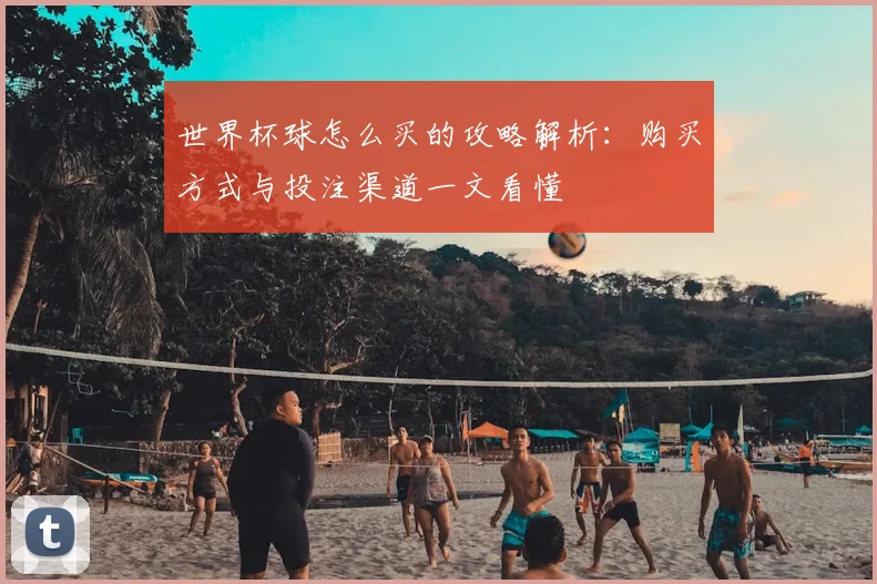 世界杯球怎么买的攻略解析：购买方式与投注渠道一文看懂