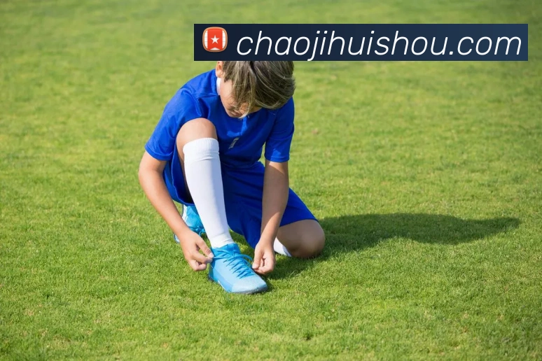 mksports官网登录平台生态图